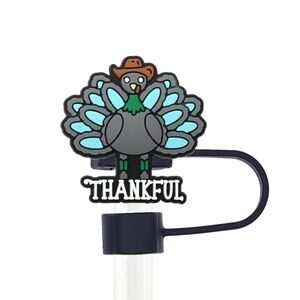 Turquoise Western Thankful Straw Topper